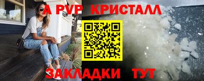спиды Гусев