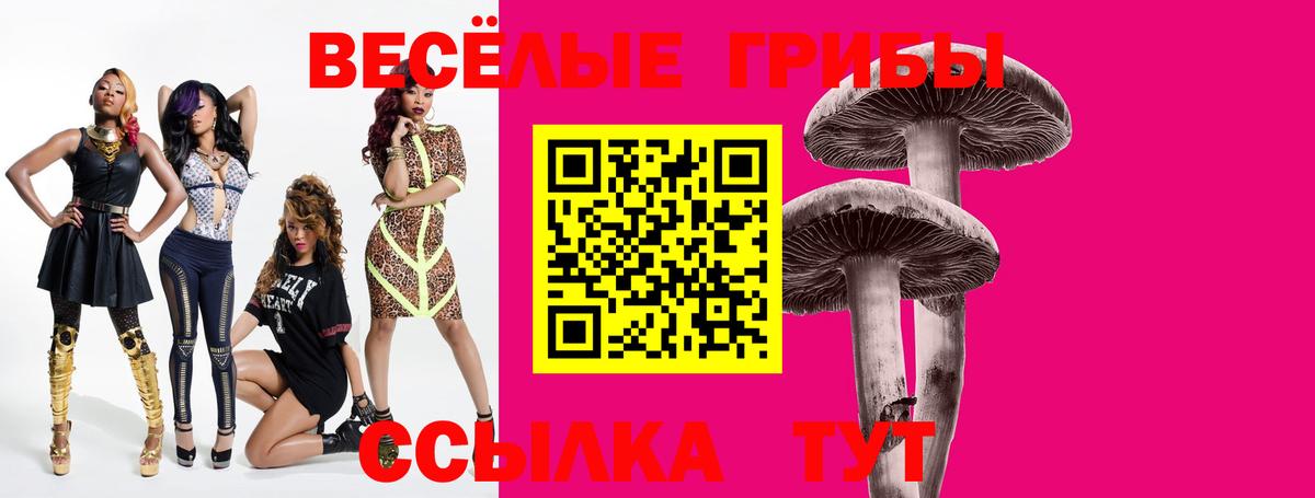 где найти   Галлюциногенные грибы MAGIC MUSHROOMS  Вход с VPN  Лабинск 